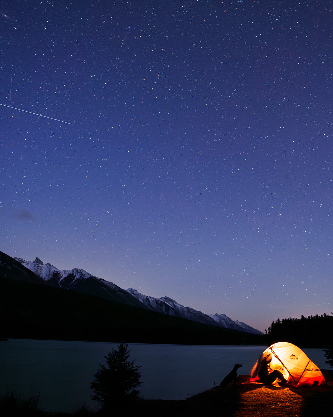 Woman in her tent at night in Banff with her dog for Säker photoshoot