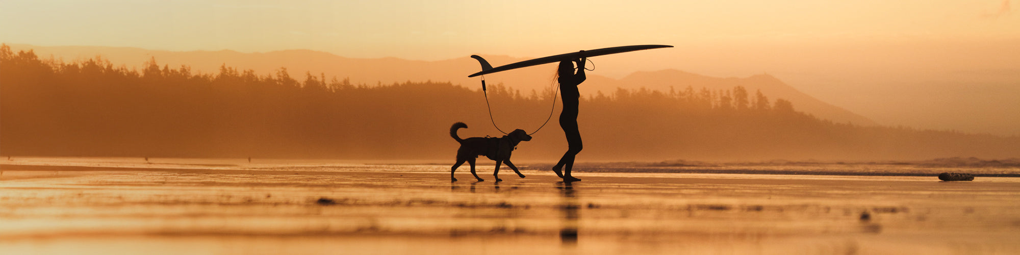 dog mom holding surf over her head with dog following her on the beach.