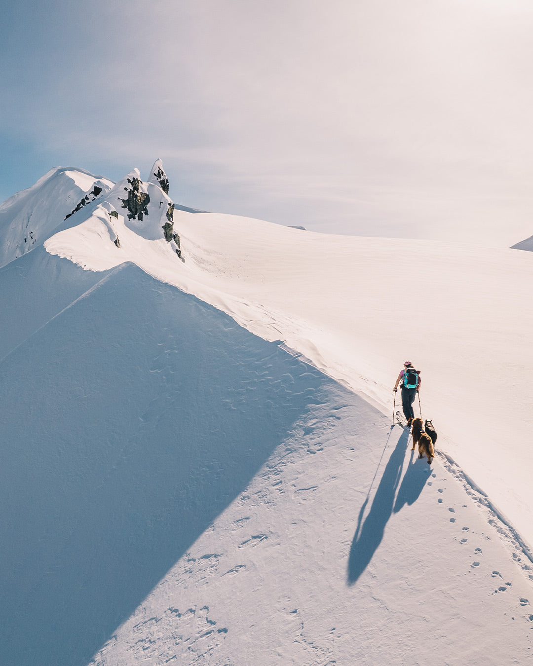 Woman on a ridge in yukon backcountry skiing with 2 dogs