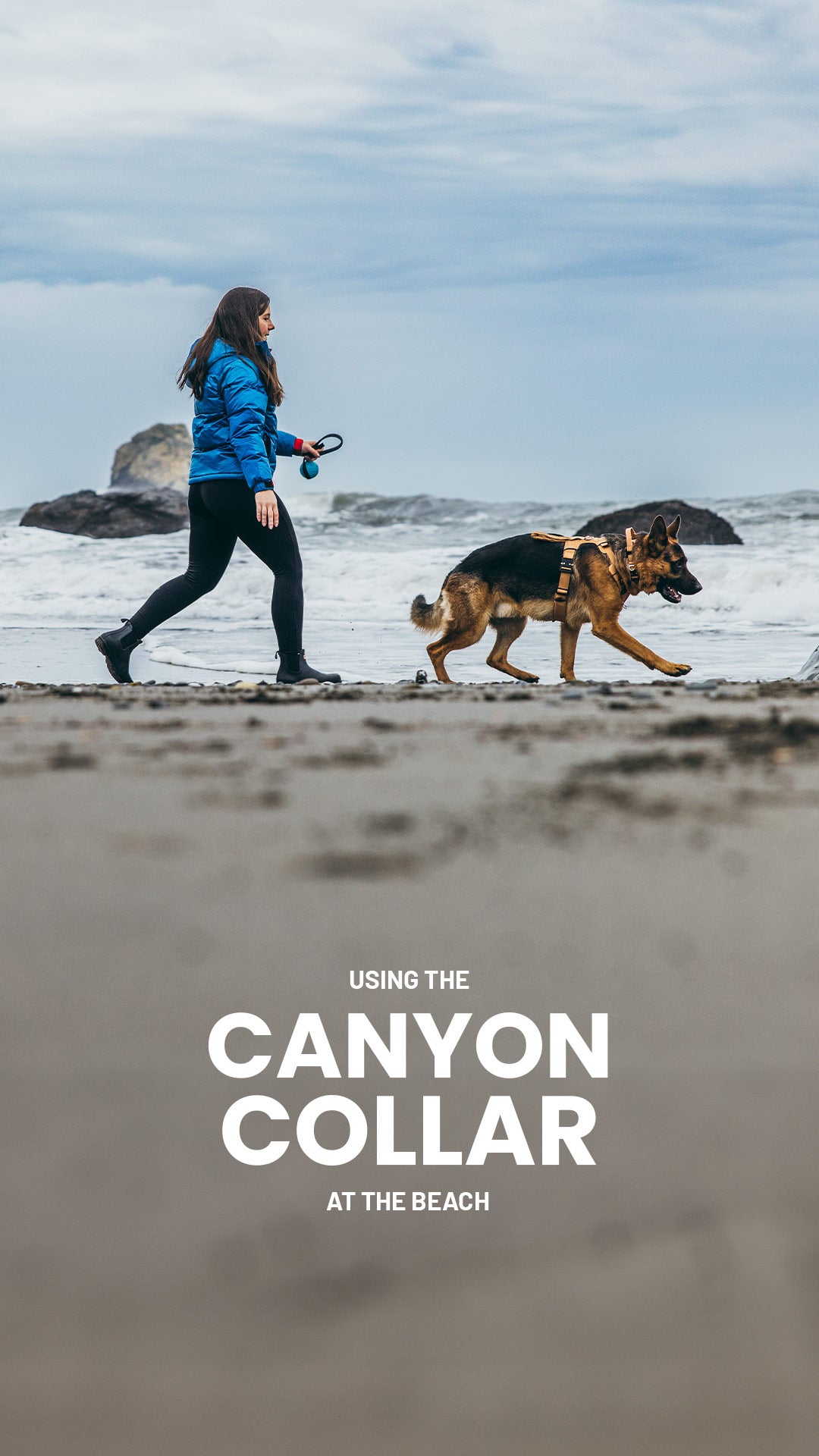Woman walking on the beach with her gsd wearing the canyon collar and harness in Sandstorm tan