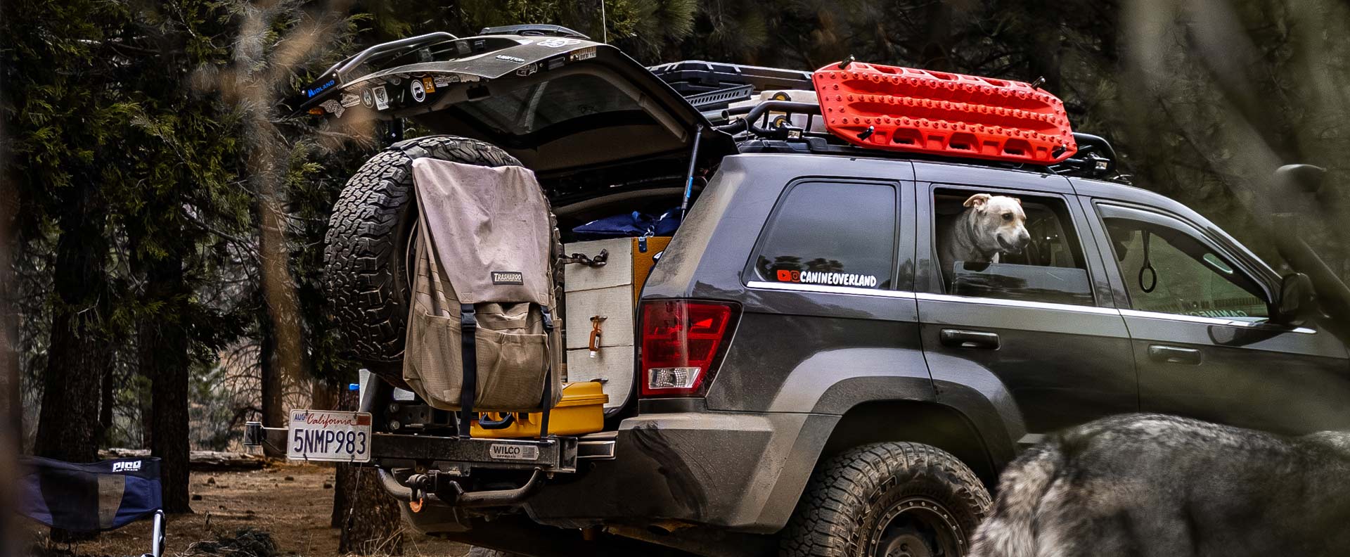 overland setup with dogs in and out of a jeep