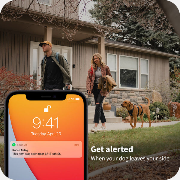 picture of an iphone with notification from airtag showing dog is gone