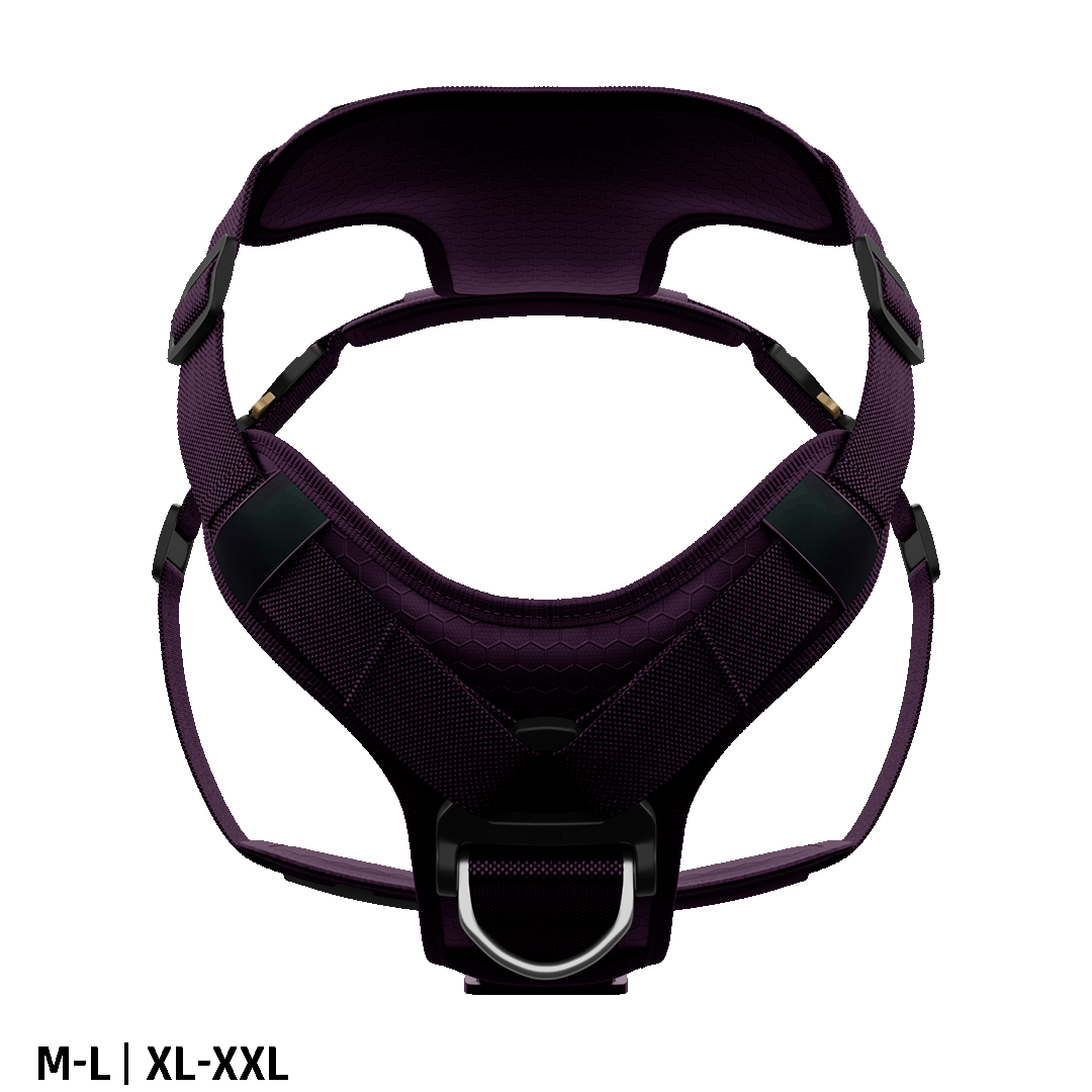 Front view of the Ascension Core harness M-L and XL-XXL in Prairies Purple