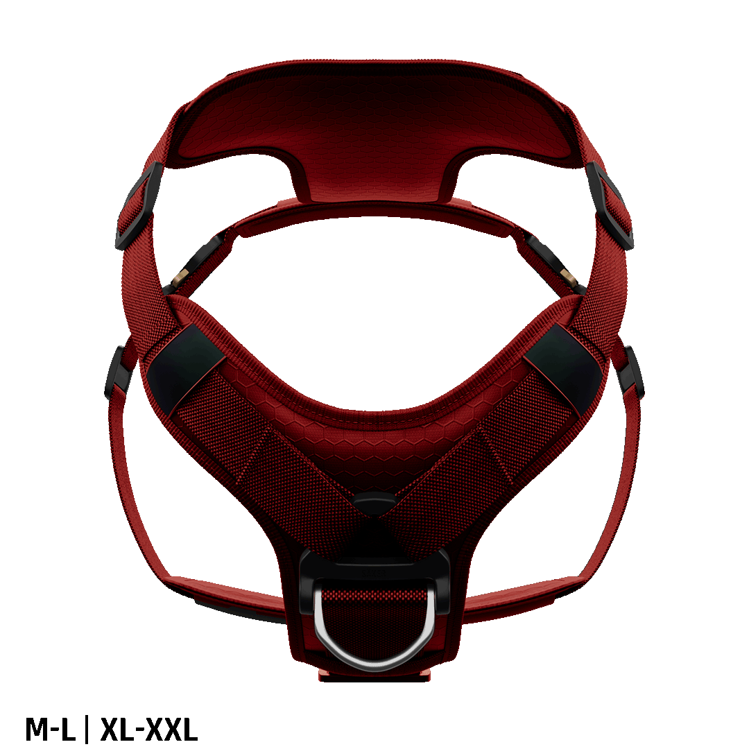 Front view of the Ascension Core harness M-L and XL-XXL in Blazing red