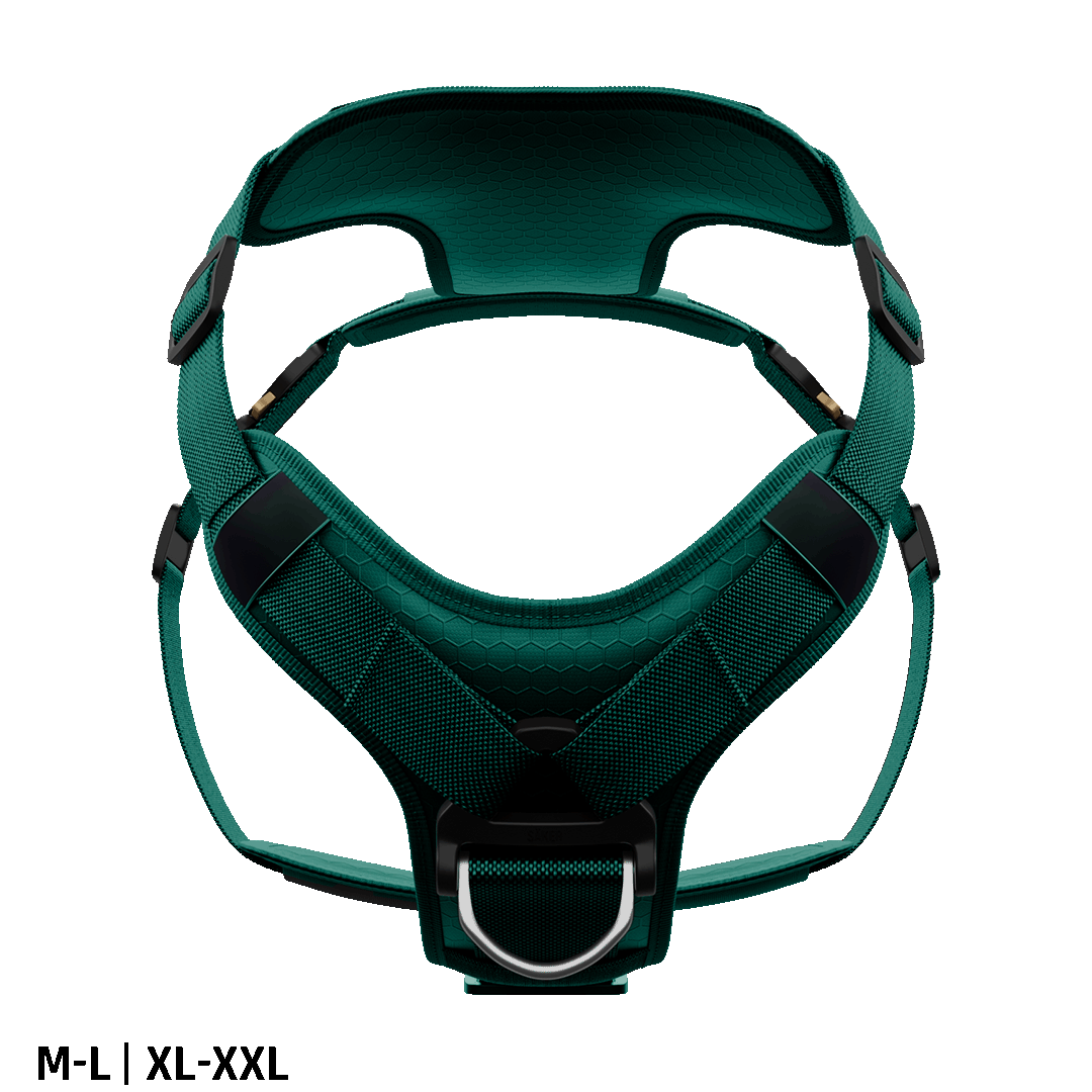 Front view of the Ascension Core harness M-L and XL-XXL in Tazer Teal