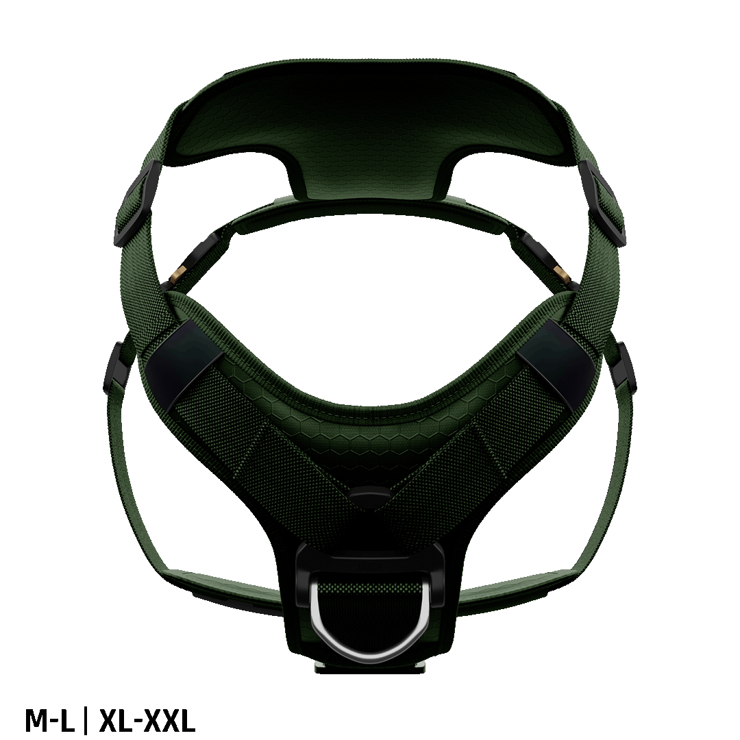 Front view of the Ascension Core harness M-L and XL-XXL in Woodland Green