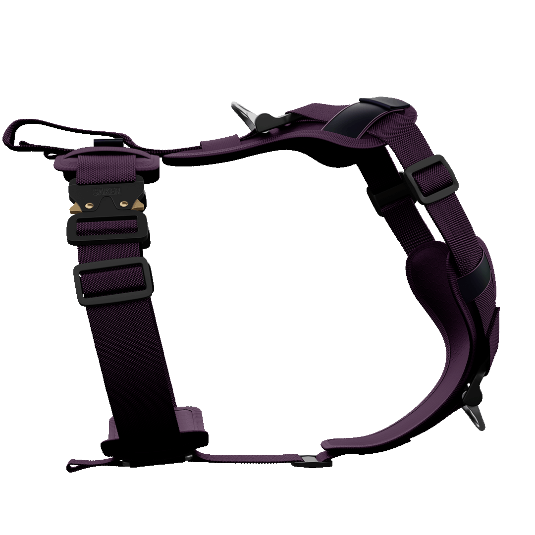 Sideview of the Ascension Core harness M-L in prairies purple