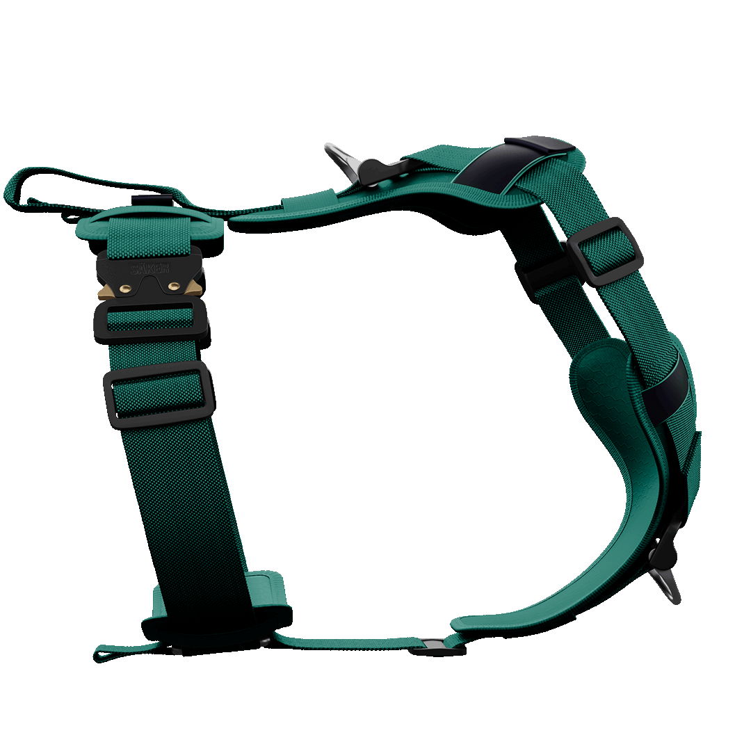 Sideview of the Ascension Core harness M-L in Tazer Teal