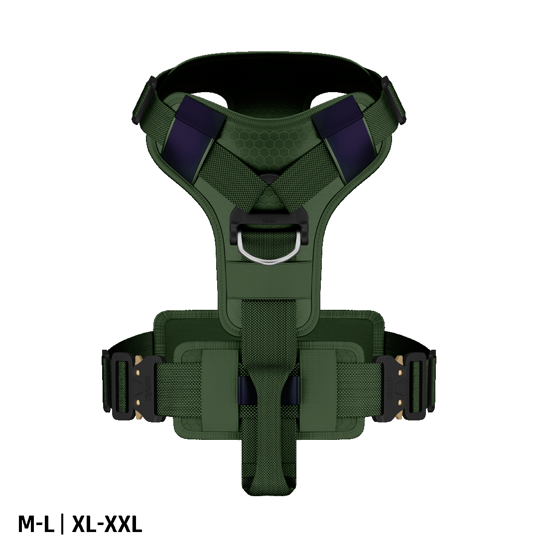 Top view of the Ascension core harness M-L and XL-XXL in woodland green