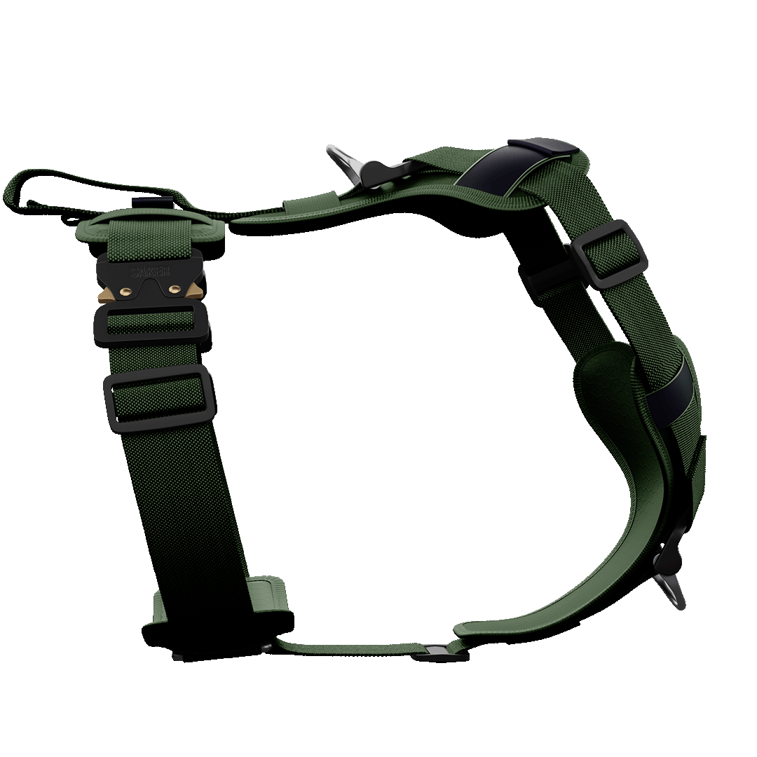 Sideview of the Ascension Core harness M-L in Woodland Green