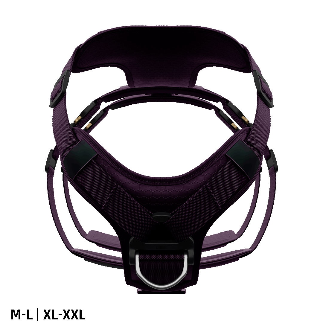 Front view of the Ascension Extended harness M-L and XL-XXL in Prairies Purple