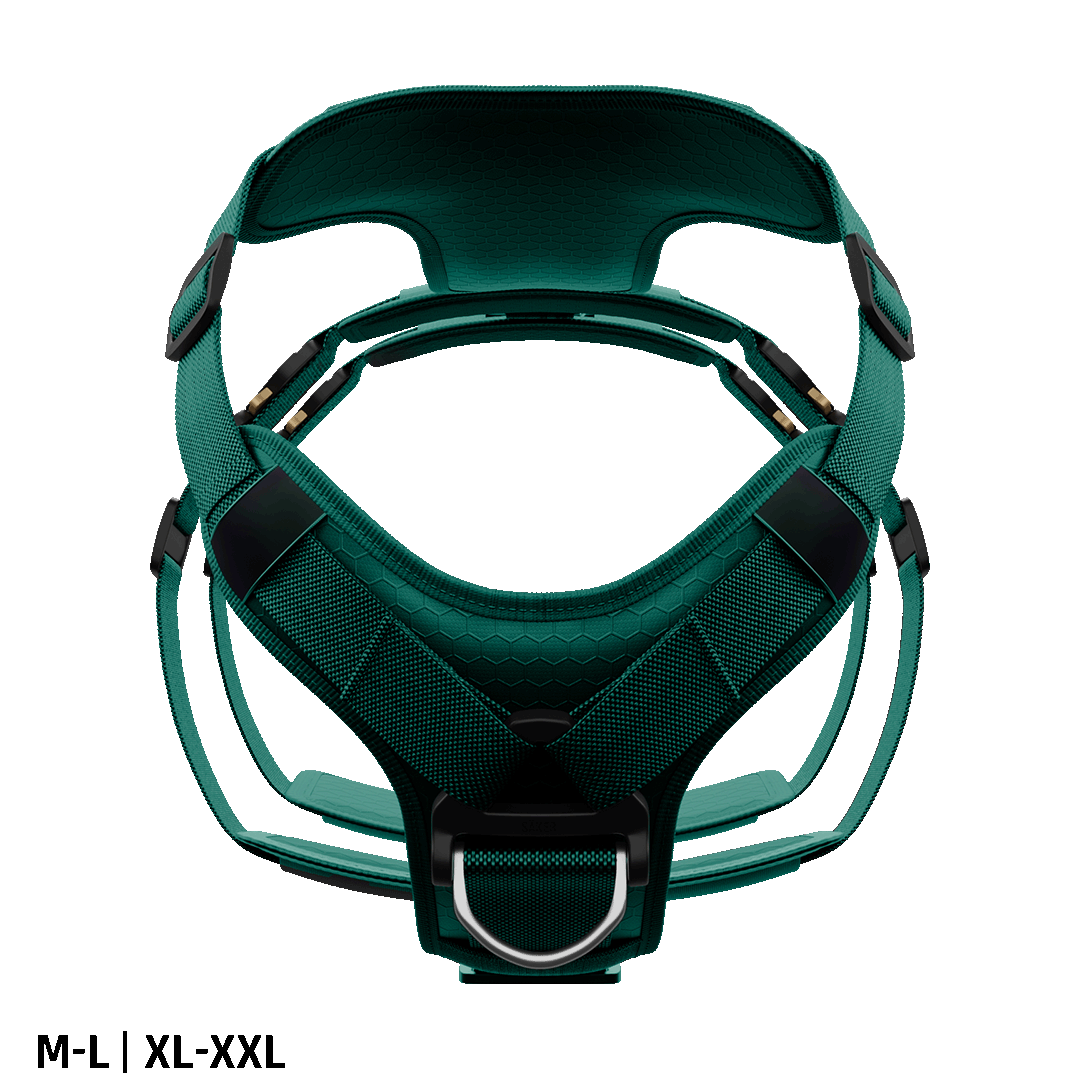 Front view of the Ascension Extended harness M-L and XL-XXL in Tazer Teal