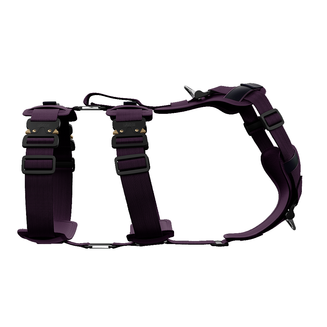sideview of the M-L ascension extended harness in prairies purple