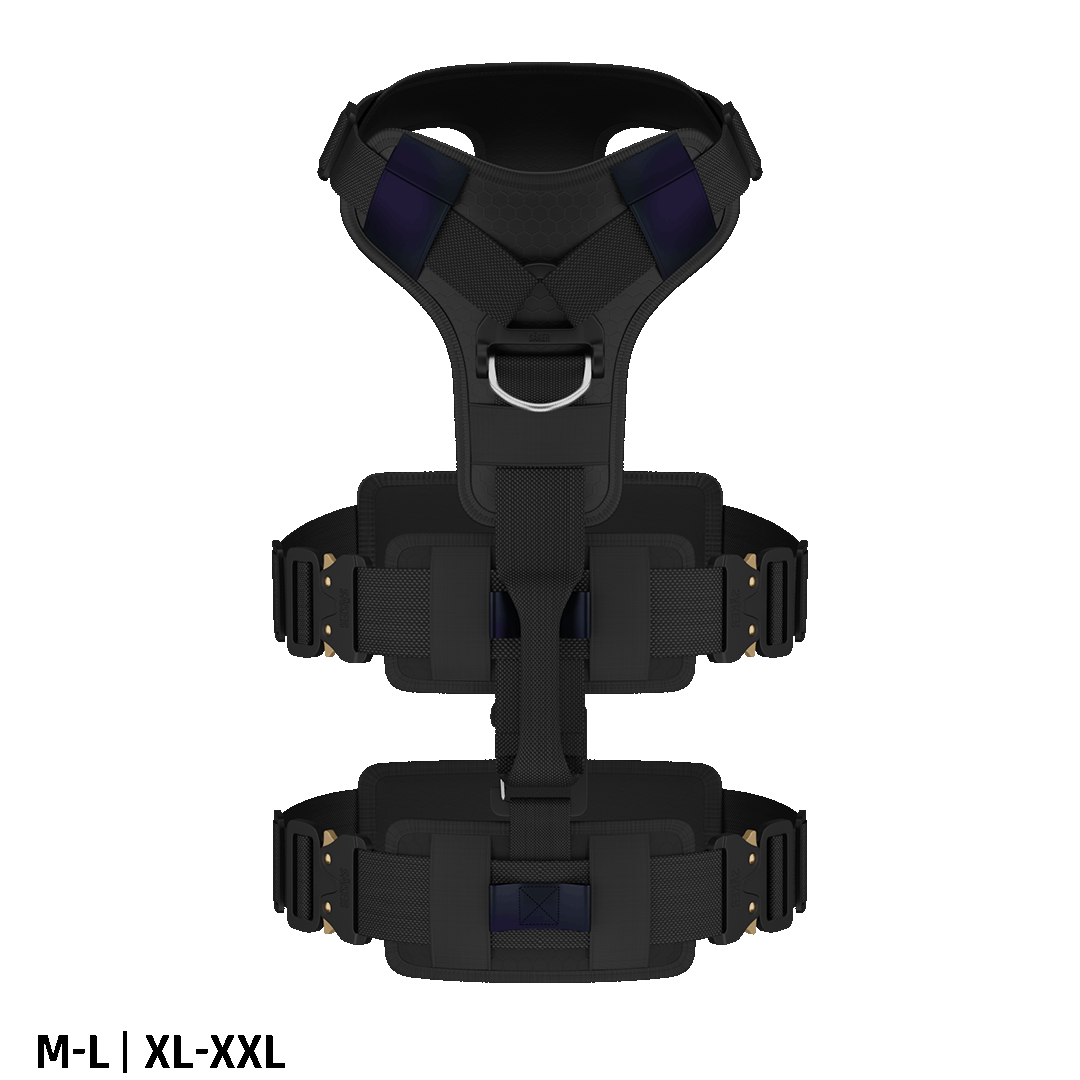 Top view of the Ascension Extended harness M-L and XL-XXL in Black