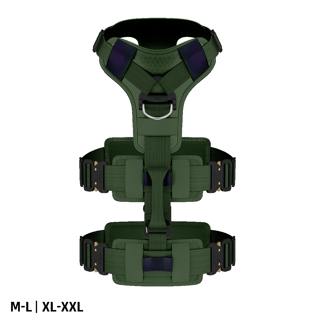 Top view of the Ascension Extended harness M-L and XL-XXL in woodland green