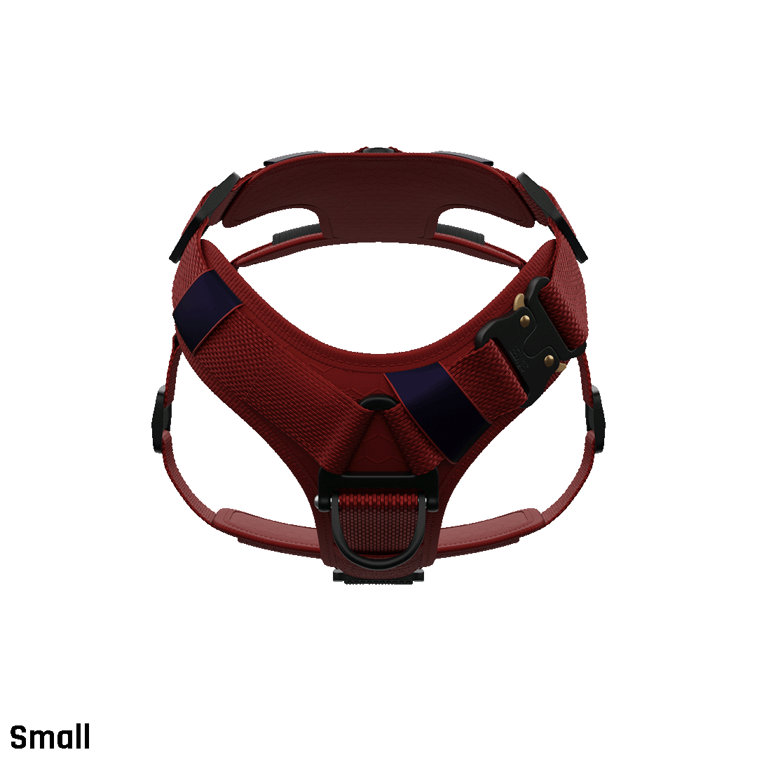 Front view of the small core harness in blazing red with neck buckle to prevent the harness from passing over the head