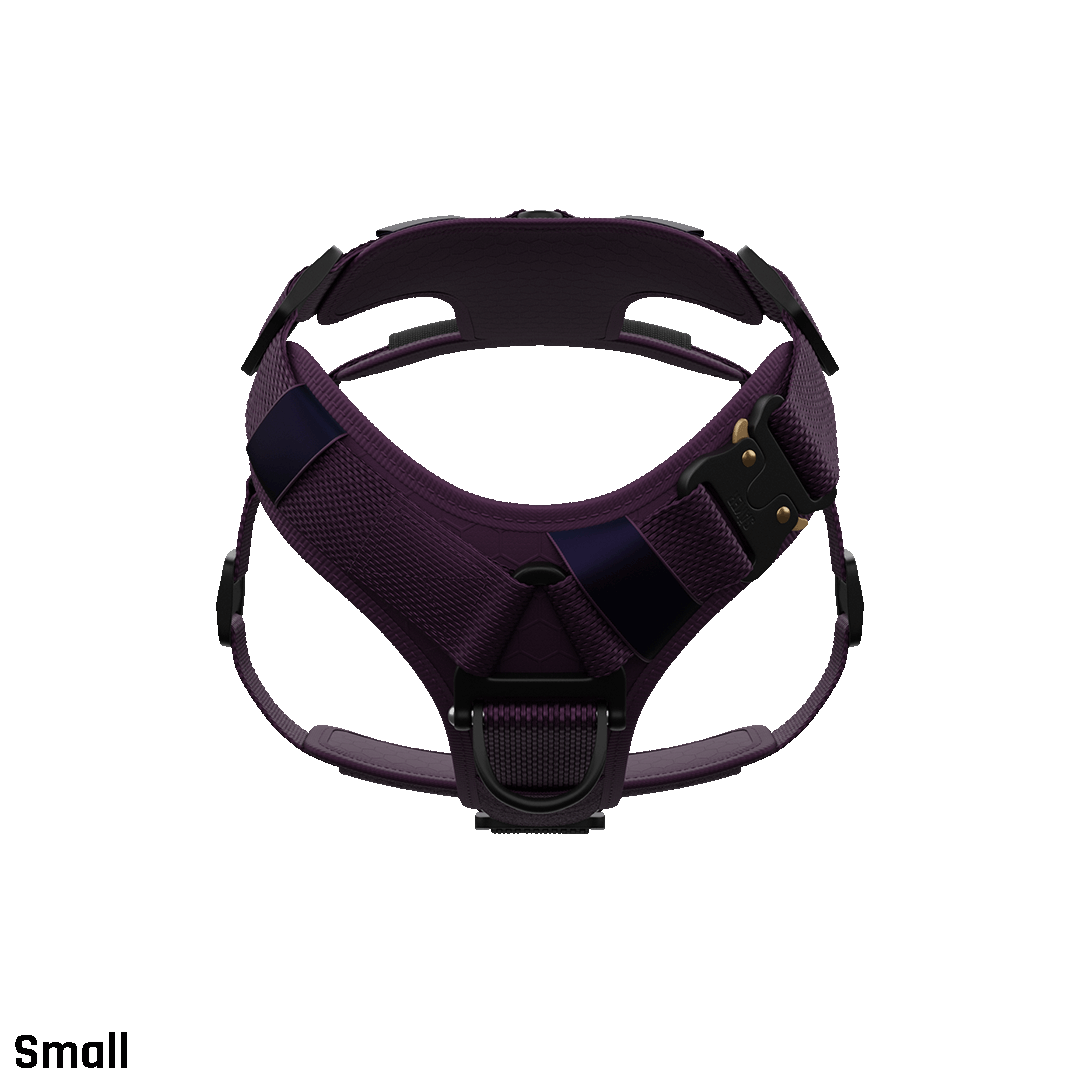 Front view of the small core harness in prairies purple with neck buckle to prevent the harness from passing over the head