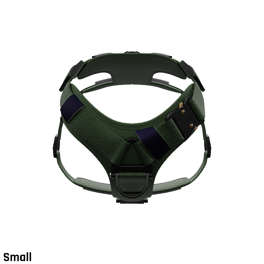 Front view of the small core harness in woodland green with neck buckle to prevent the harness from passing over the head