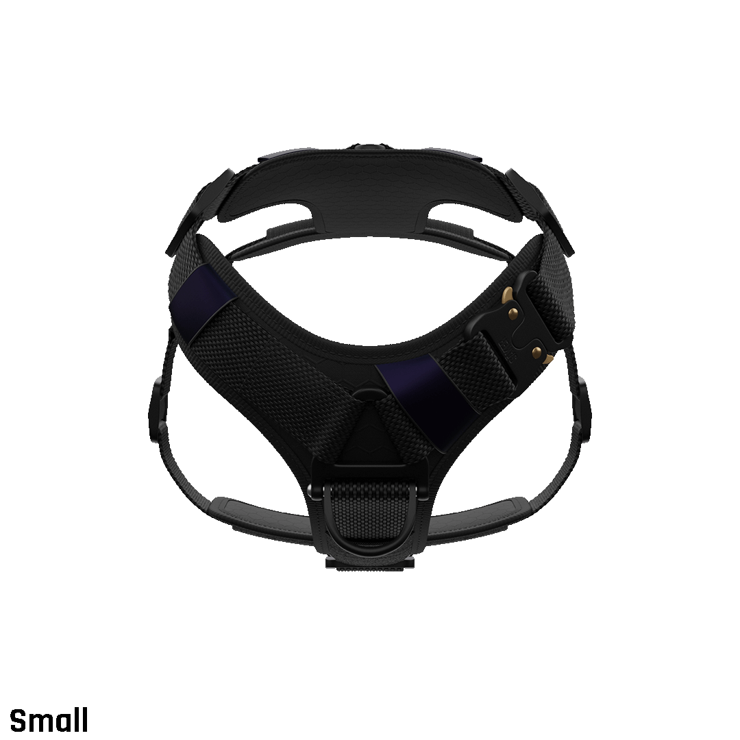 Front view of the small core harness in black with neck buckle to prevent the harness from passing over the head