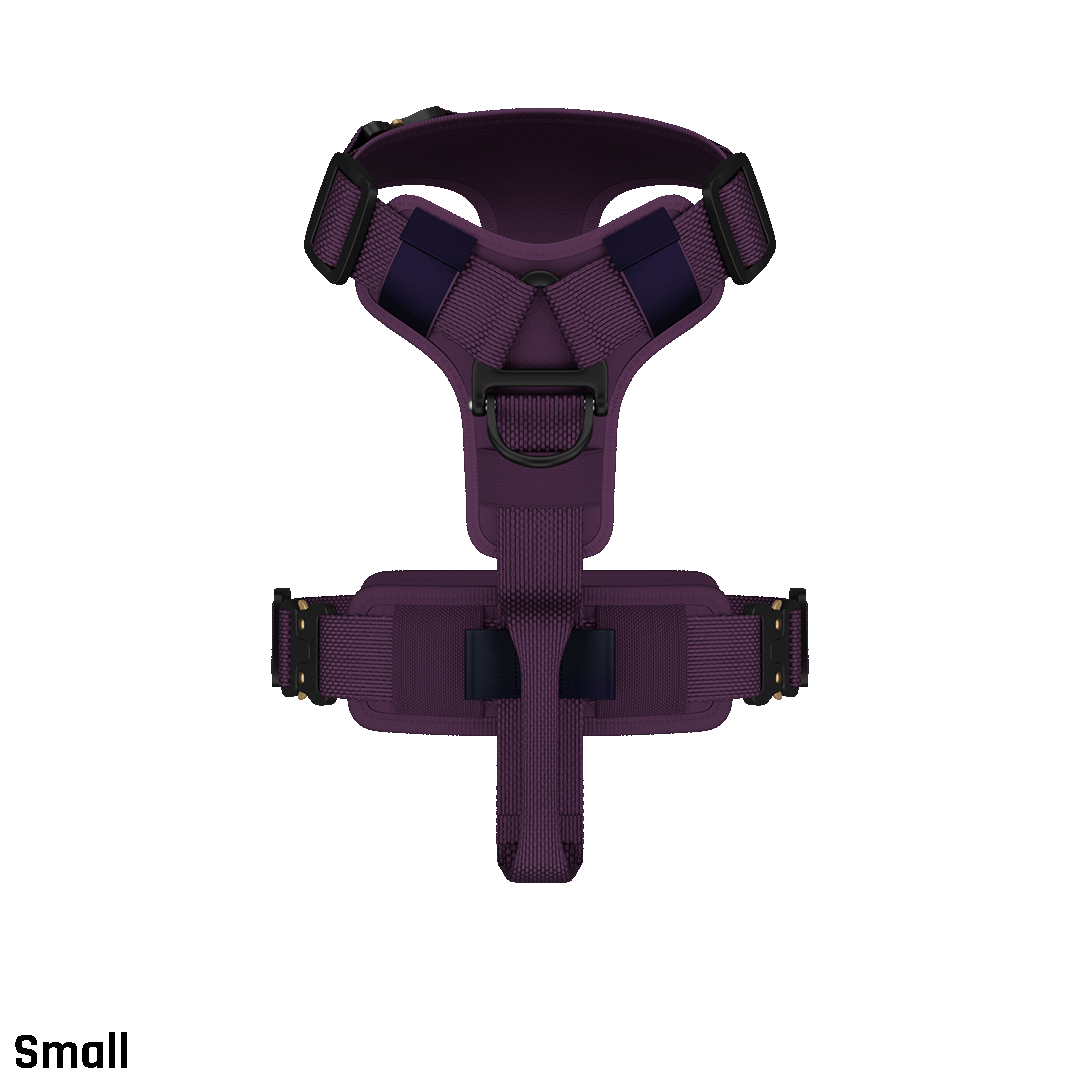 Top view of the small ascension core harness in Prairies Purple