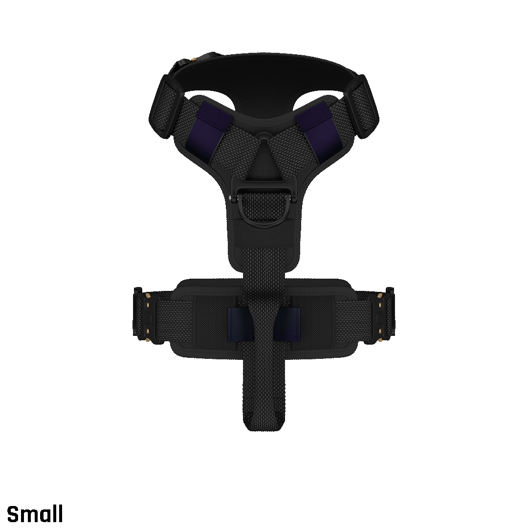 Top view of the small ascension core harness in Black