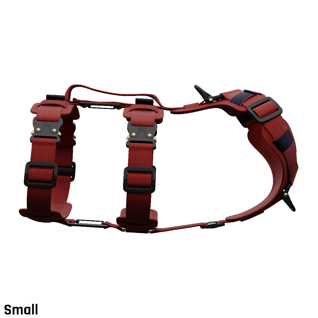 sideview of the small ascension extended harness in blazing red