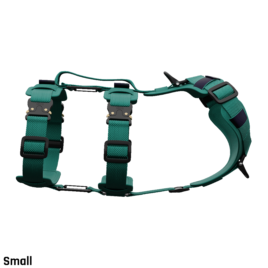 sideview of the small ascension extended harness in tazer teal