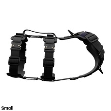 Säker Ascension Harness