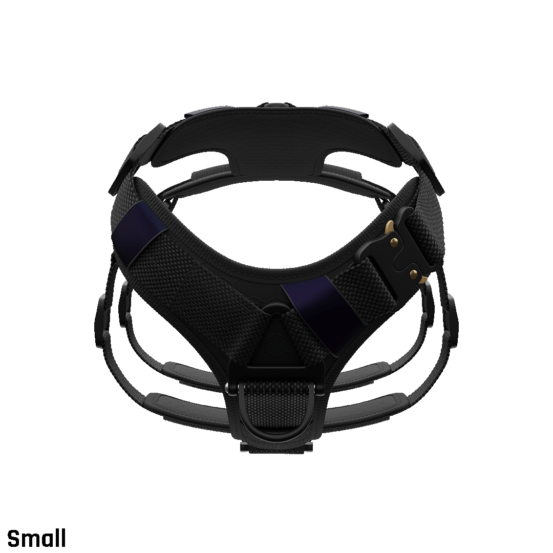 Front view of the Ascension Extended harness Small in Black