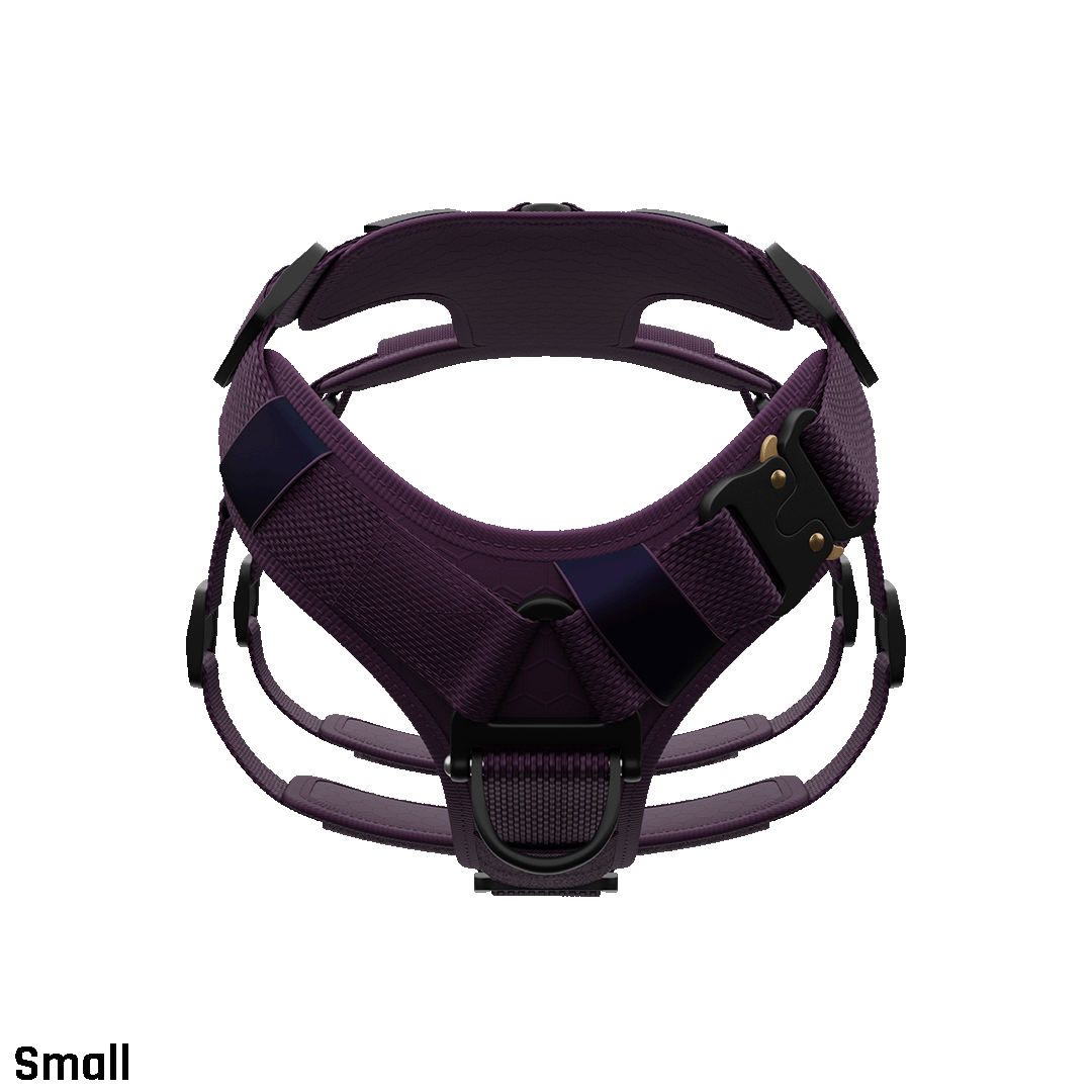 Front view of the Ascension Extended harness Small in Prairies Purple
