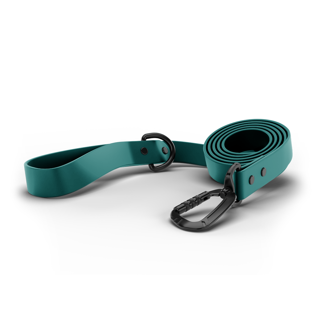 main picture of the tazer teal sentiero dog leash from säker